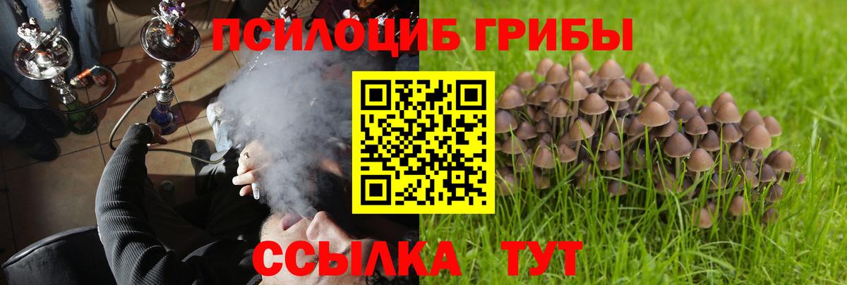 Галлюциногенные грибы Psilocybine cubensis  Вход с VPN  Ревда 